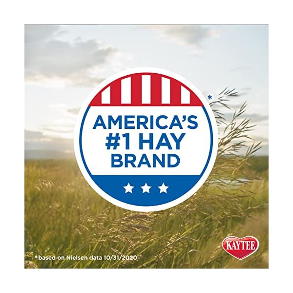 Kaytee timothy hay blend cubes 1 pound - image 8