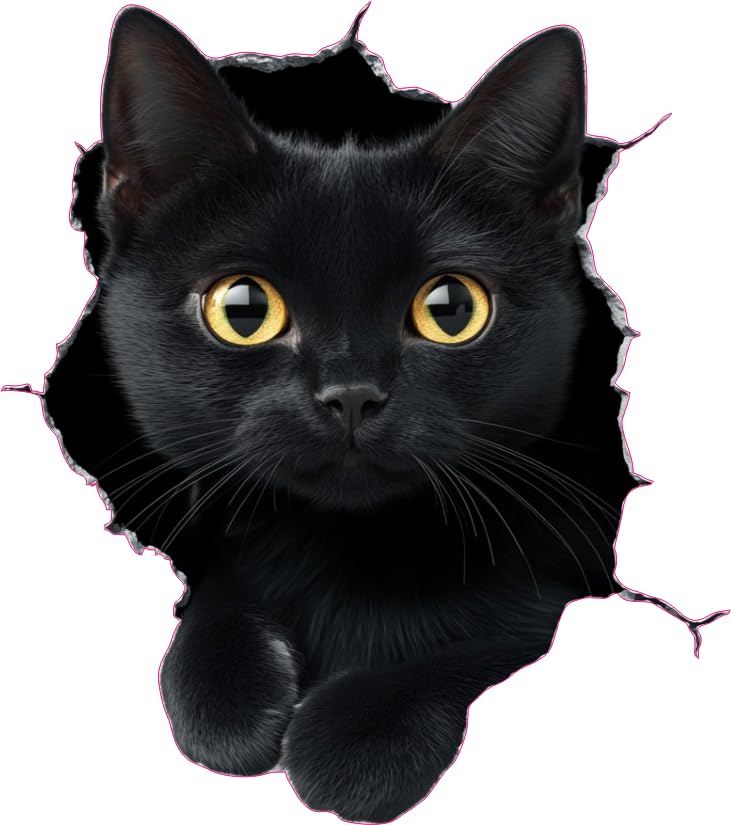 x4 Black Manx Cat Vinyl Stickers Cover Marks Non Transparent Waterproof Kitten Decals 1@20cm Tall & 3@7cm Tall Ideal for Toilet Wall