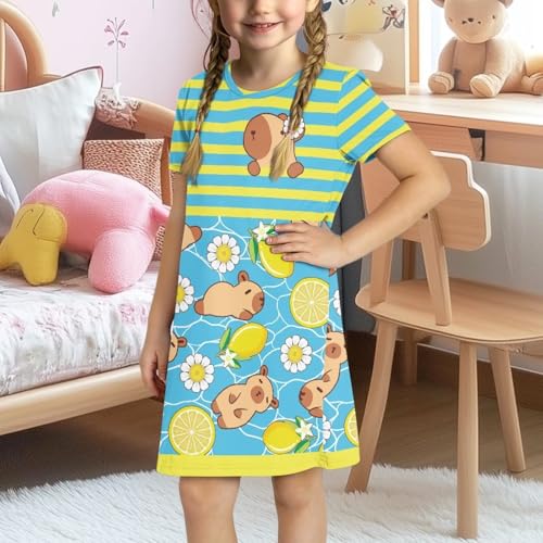 Little Girls Capybara Dress Summer Cute Clothes Home Play Skater Midi T-Shirt Dress for Kids 3-4T Loose Fit3