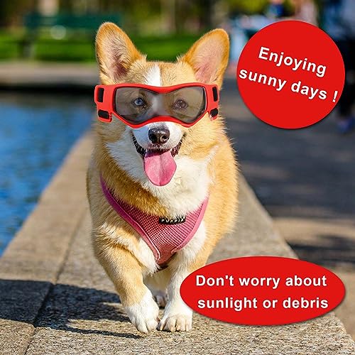 Hundebrille für Kleine Hunde, Hundesonnenbrille für Hunde Winddicht Beschlagfrei Hundesonnenbrille Verstellbar Hundebrille für Haustier Klein Mittel Hunde Outdoor Augenschutz (Rot)