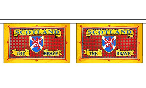 Flagtex Scotland the Brave Horizontal Fabric Bunting – 9m with 30 Flags – Fabric for Indoor & Outdoor Use – String Flags Banners Scottish Scotland UK British Patriotic — image 1