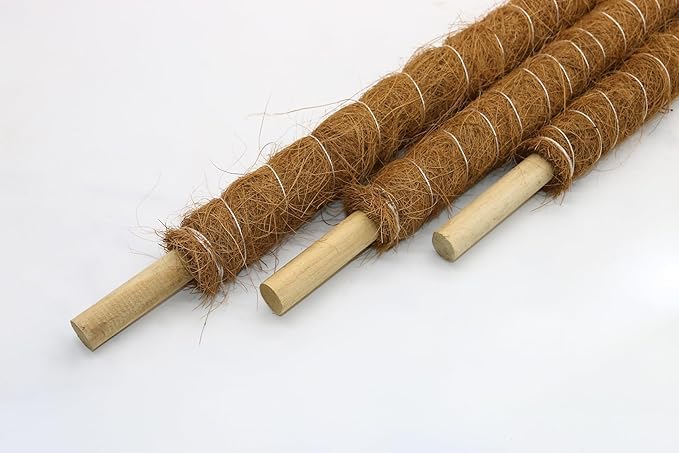Coir Products 200cm Grow Poles | Plant Support for Growing Creepers, Ornamental Plants, and Upward-growing Crops