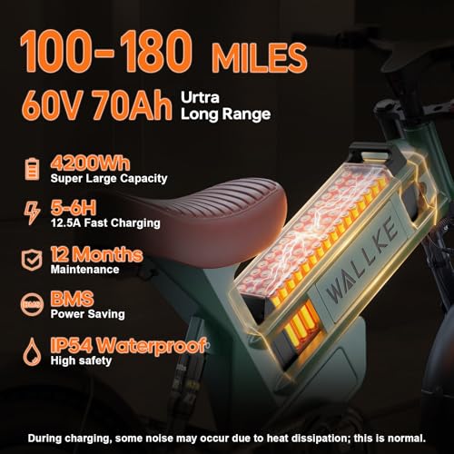 Electric Cargo Bike Long Range