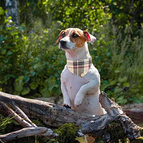 Image of EXPAWLORER Dog Collar and Leash Set - Classic Plaid Dog Bow Tie and Dog Bandana Collar with Bell, Dog Leash Tangle Free, Adjustable Collars for Small Medium Large Dogs Cats, Holiday Ideal Gift