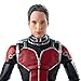 Marvel Studios: The First Ten Years Ant-Man Ant-Man and Yellowjacket