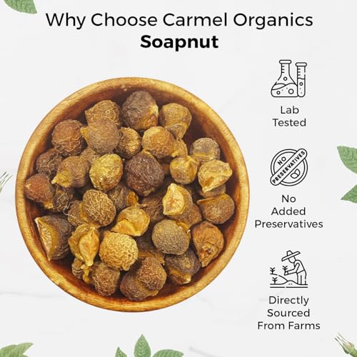 Image of CARMEL ORGANICS Soapnut /Reetha Whole 300g | Pure Reetha Pods | Natural Hair Cleanser & Conditioner | Chemical-Free & Eco-Friendly, No Added Preservatives, Kumkudukai