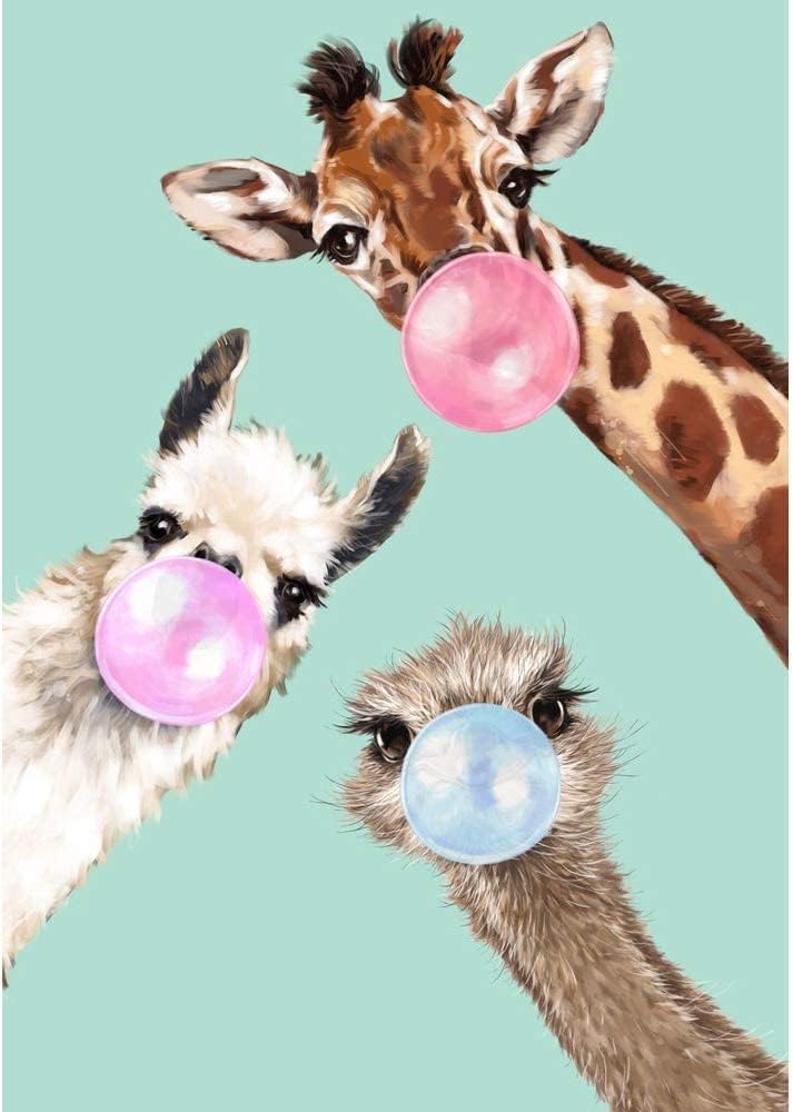 Giraffes,ostriches,alpacas
