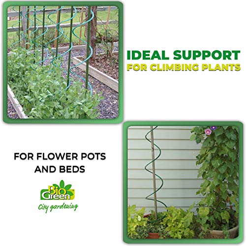 Bio Green Productos de Cultivo zarcillos, Negro: Amazon.es: Jardín