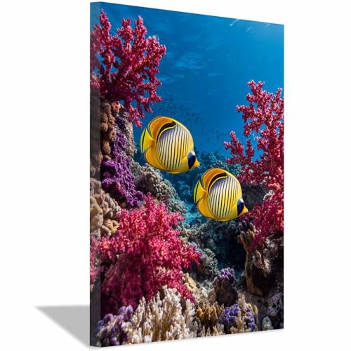 Impression sur toile animaux marins CUDAOO : tableau multicolore encadré 20x30cm pour salon