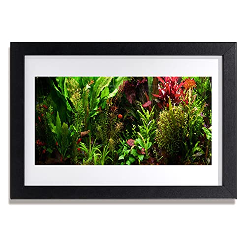 Affiche avec cadre 30x20 cm Tulup photo murale fleurs pour chambre et cuisine