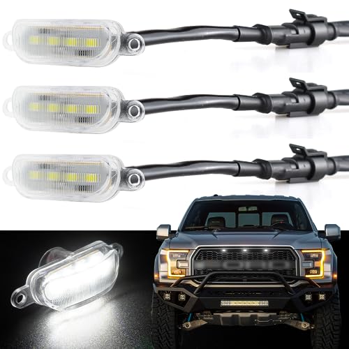 Boigoo Parrilla decorativa compatible con Dodge Ram 1500 2013-2018 y Ford F-150 Raptor 2004 – 2019, rejilla de rejilla de coche (lente blanca)