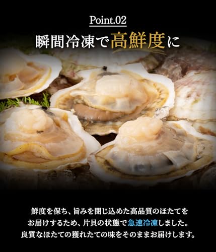北海道きたれん ほたて 片貝 殻付き 10枚 の商品画像 3
