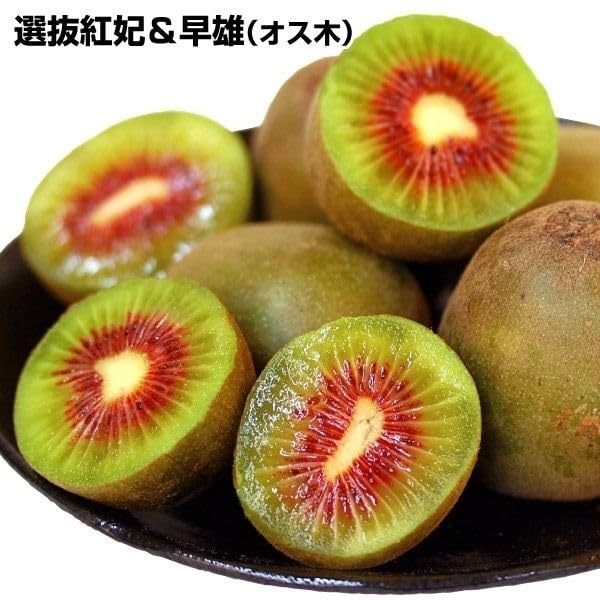 現品発送 キウイフルーツ 紅妃 レッドキウイ 苗木 雌雄セット 早雄 ＆ 紅妃 Amazon.co.jp: 果樹苗 キウイ 選抜紅妃＆早雄（紅芯用オス木） 2種2株