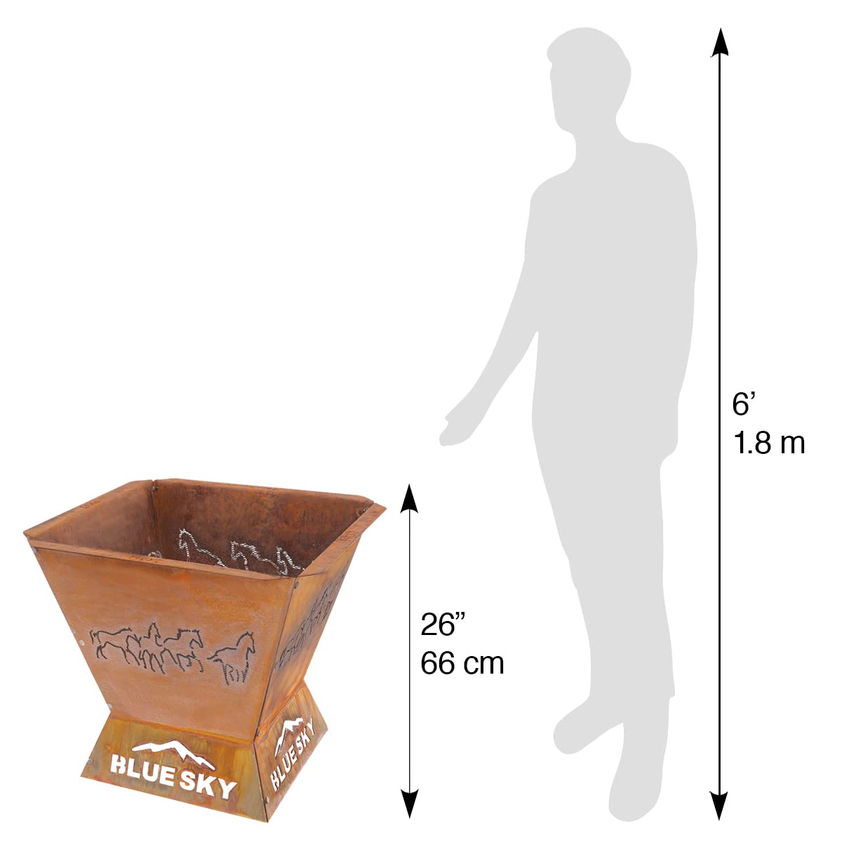 https://m.media-amazon.com/images/I/51ERZ0t-mDL.jpg
