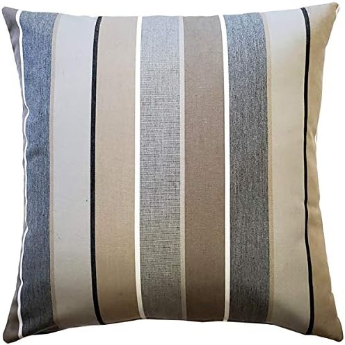 Pillow Decor Sunbrella Milano Char 20x20 Outdoor Pillow