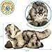 TigerHart Ricky The Maine Coon - 16 Inch Stuffed Animal Plush