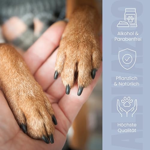 alphazoo Big Paw-ty Pfotenstick 25 g - Pfotenpflege für Hunde - Pfotenbalsam gegen trockene Pfoten - Schutz vor Kälte, Streusalz & Austrocknung - natürliche Pflege mit Kokosöl, Sheabutter & Aloe Vera