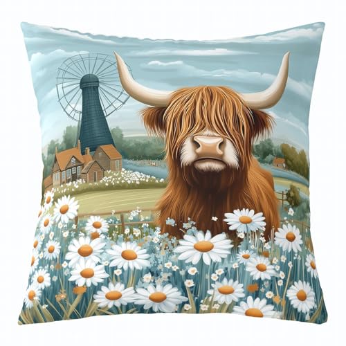 Camas Gatos Altas Marca Loussiesd