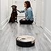 bObsweep Standard Robotic Vacuum Cleaner and Mop, Champagne