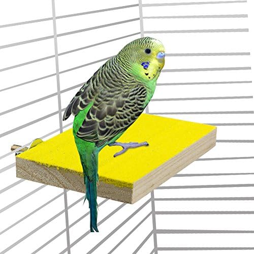ULIGOTA Colorful Wood Perch Stand Platform Toy Playground Paw Grinding Clean for Pet Bird Parrot Budgies Parakeet Conure Hamster Gerbil Rat Mouse Cage Accessories Stands Exercise Toy (Style B)