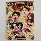 Tリーグカード 宇田幸矢