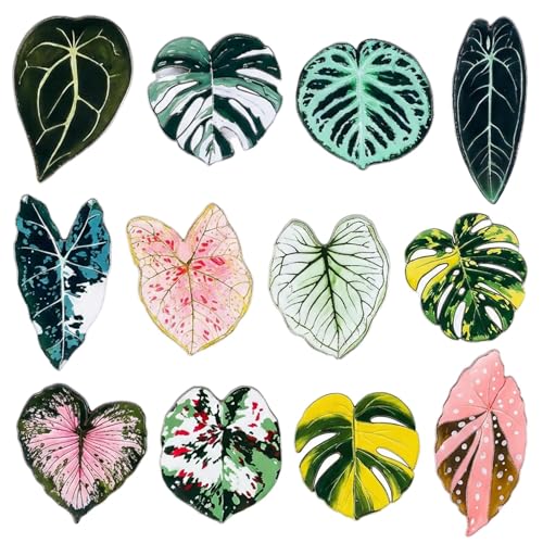 Leaf Shaped Magnets, Cute Plant Refrigerator Magnets for Kitchen Office School Locker Home Decor, Acrylic Plant Themed Magnets Decorative for Birthday Plants Lovers Gift(Size:12 Pcs)