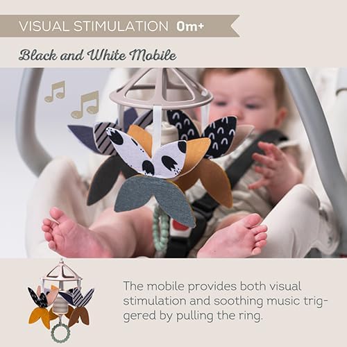 Taf Toys Black & White Newborn Gift Set. 10 High-Contrast Baby Toys for Newborns Includes Mobile Sensory Book Rattle & More. Essential Tummy Time Toys. Ideal for Infants Boys & Girls 0 Months + - Image 4