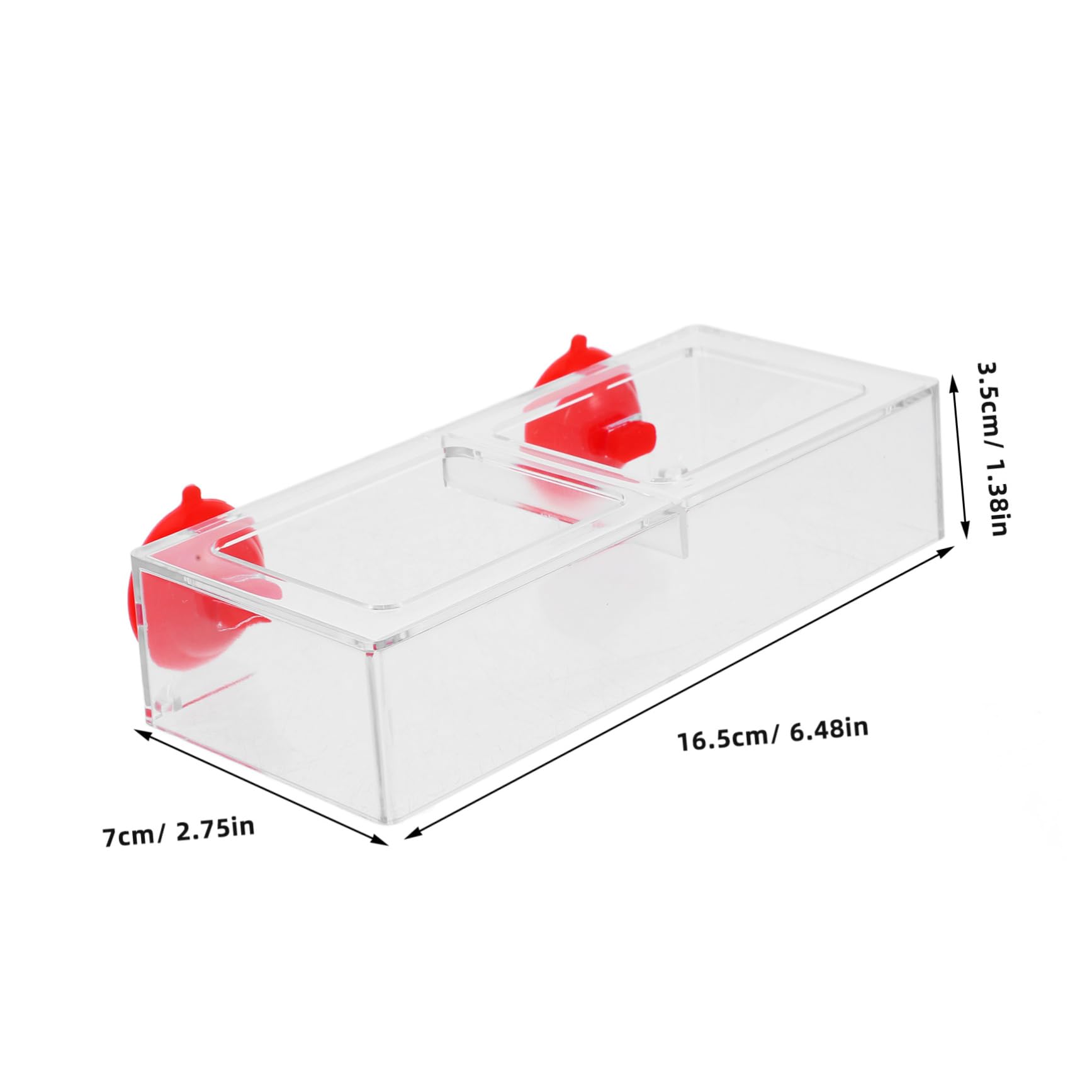 GRIRIW Fish Feeding Ring Aquarium Tank Feeder Fish Food Feeder Betta Tank Accessories