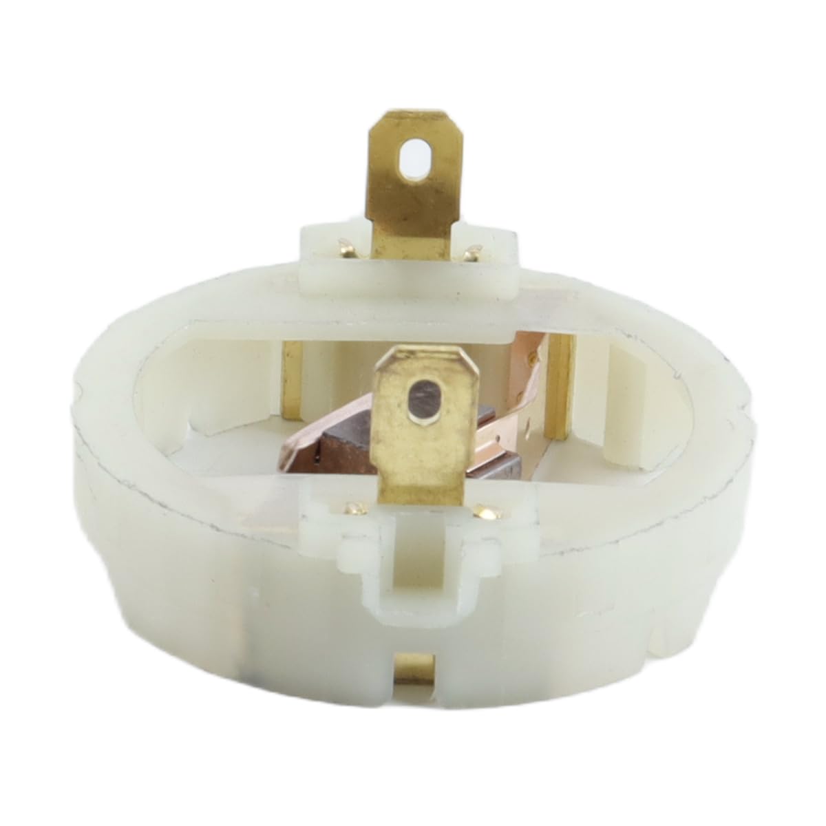 Balais De Charbon Pour Perceuse Meuleuse Ponceuse Parkside PWSA 20 Li