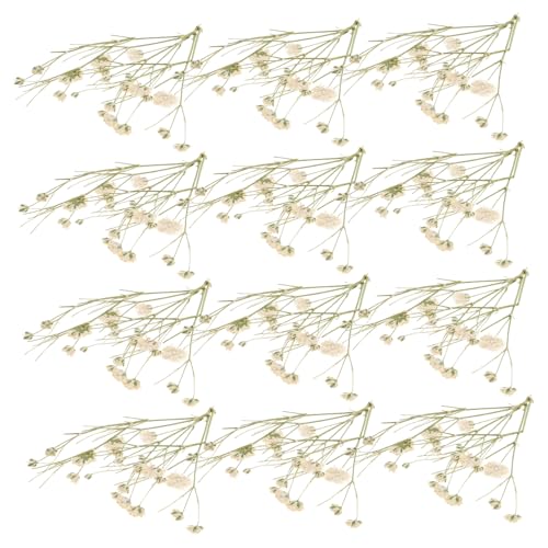 Ramo de flores secas naturales para decoración DIY miniatura 1