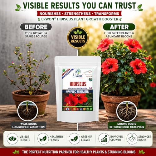 Image of Erwon Hibiscus Plant Growth Booster, Premium Essential Powerful Organic Fertilizer For Overall Growth Of Hibiscus Plants, With Charged Micro-Organism And ++ Micronutrients. (900 gm)
