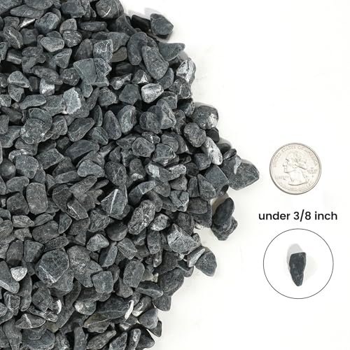 Image of CONSDAN 12 LBS Natural Gravel for Fish Tank, StoneCreek Betta Fish Aquarium Gravel, Vase Filler, River Rocks, Fish Tank Decorations, Perfect for Aquarium Decor, Fish Tank, & Indoor Plant, Black