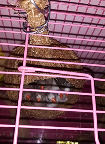 ZENRISE-Set-of-2-of-Coconut-Fiber-Birds-nest-for-Pet-and-Balcony-Birds-Sparrows-Finches-breeding-Beige