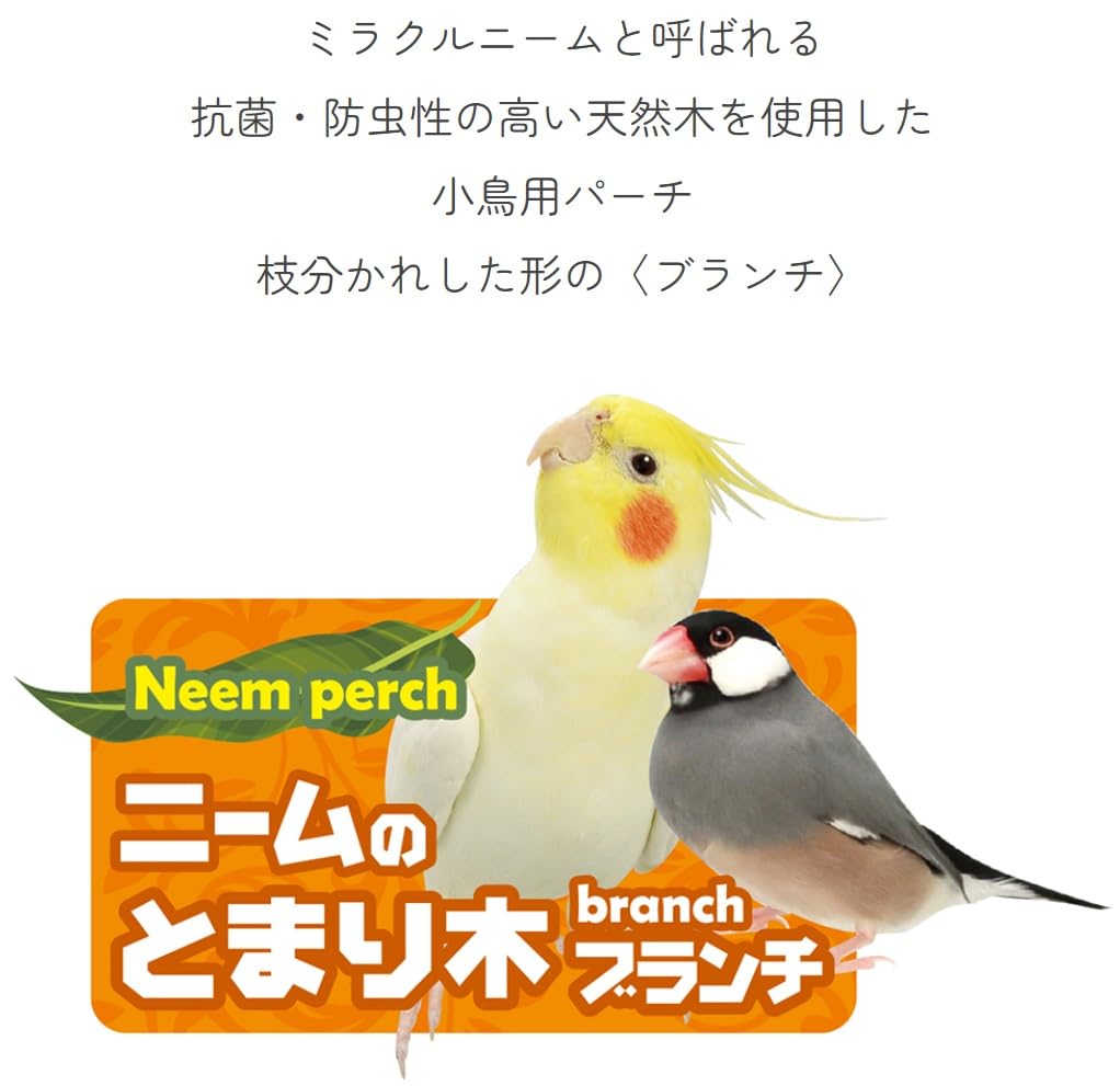 Amazon | 【小鳥用パーチ 抗菌・防虫性の高い天然木】 ニームの