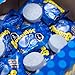 Bubbaloo Mora Azul Blueberry Mexican Chewing Bubble Gum Chiclets - 1 Pack 47pcs
