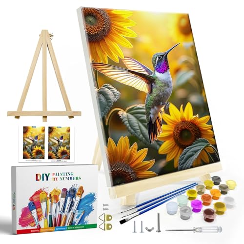 JOOZ Hummingbird Framed Kit