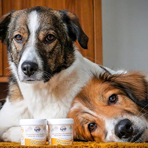 Bellfor Natürliche Salbe für Pfotenschutz Hunde Calendula, Kokosfett & Insektenfett – Natürlicher Schutz gegen Schnee, EIS & Streusalz - Antibakteriell und Pflegend - 100 ml.