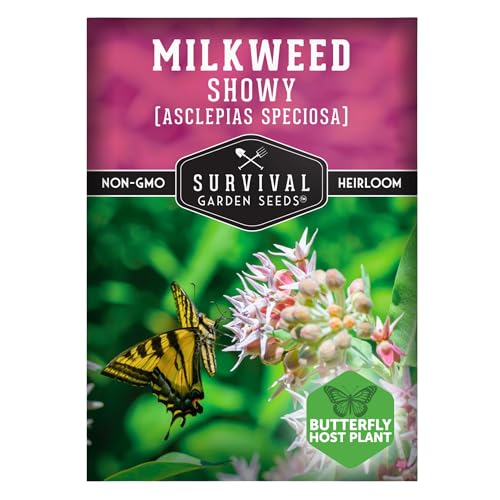 Showy Milkweed Seeds for Planting - Asclepias Speciosa - Monarch Butterfly Host - Drought-Tolerant Native...