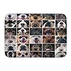 Badmatten tapijt voor badkamer, honden Studio Shot Chihuahua Chow Chow Cocker Spaniel Poedel rasechte herdershond…