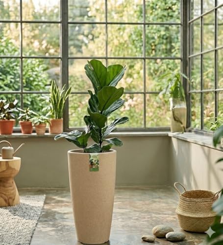 Image of Harshdeep Roto Planter - Venice - Indoor Outdoor Home Balcony Garden Decorative Round Durable Light Weight Stone Finish Plant Pot Dia 11 Inch Height 22 Inch (Cream Stone)