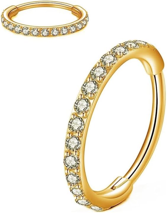 chenle Clear CZ Nose Rings Hoop 316L Surgical Steel Cartilage Earrings Conch Daith Helix Rook Tragus Lobe Snug Body Piercing Jewelry 16G Stainless Steel Hinged Segment Rings Lip Rings