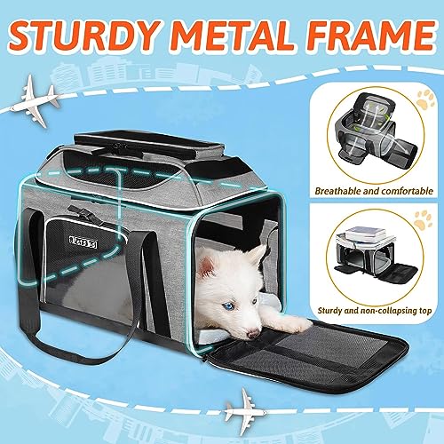 image for Petskd Top-Expandable Pet Carrier 17x12x8.5 Inches JetBlue Allegiant S