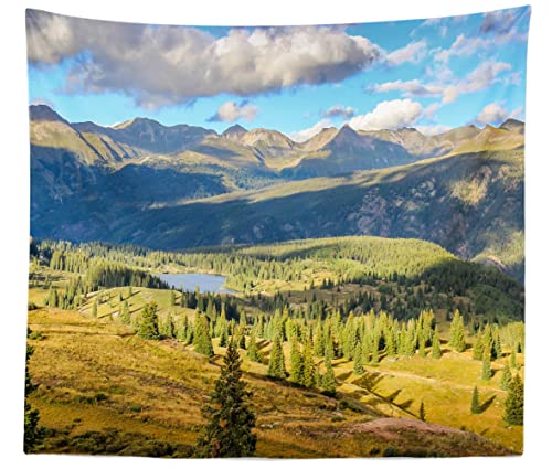 Fondo Fotográfico Tela 7x5ft Montana BELECO miniatura 5