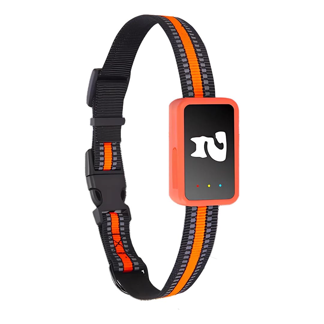 Pawsitional Cat Gps Tracker (Black Orange)