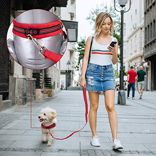 Slowton No Pull Small Dog Harness And Leash Set, Puppy Soft Vest Harness Neck & Chest Adjustable, Reflective Lightweight Harness & Anti-Twist Pet Lead Combo For Small Medium Dogs (R-Front Clip,Xxs) #TOP1