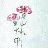 納骨袋 さらし 花柄 手書き (カーネーション) 高級 木綿 薄手 1 袋 納骨 時の ご遺骨 骨袋 薄い 綿 樹木葬 骨壷の代わりに