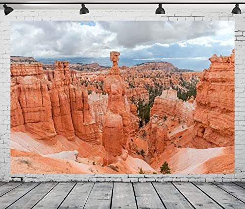 Décor Bryce Canyon arrière-plan haut de gamme en tissu texturé pour portrait