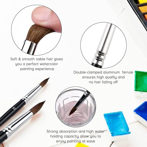 Lenbicki 1X-2SX1-RUUH Kolinsky Watercolor Brushes Set 9 Pcs Superior Sable Hair Round Pointed Professional Art Paintbrush Round Tip Paint Brush Kit thumb #1