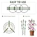 XQK 3PCS Marco de Soporte de Plantas trepadoras Jaula de Soporte de...