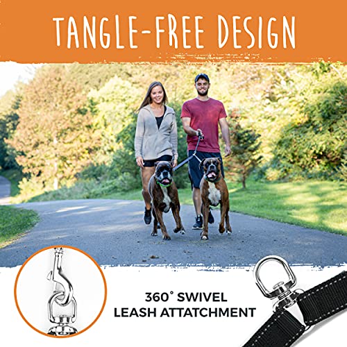 Mighty Paw Two Dog Leash With Rope Handle | Dual Dog Leash, Double Dog Leash, Multiple Dog Leash For 2 Dogs, Double Leash For Dogs, Leash Splitter For Large And Small Dogs, 2 Dog Leash, Leash Coupler #TOP4